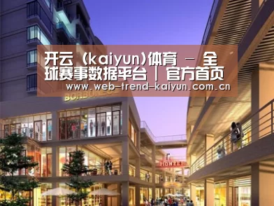 案例展示一