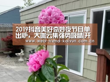 开云体育