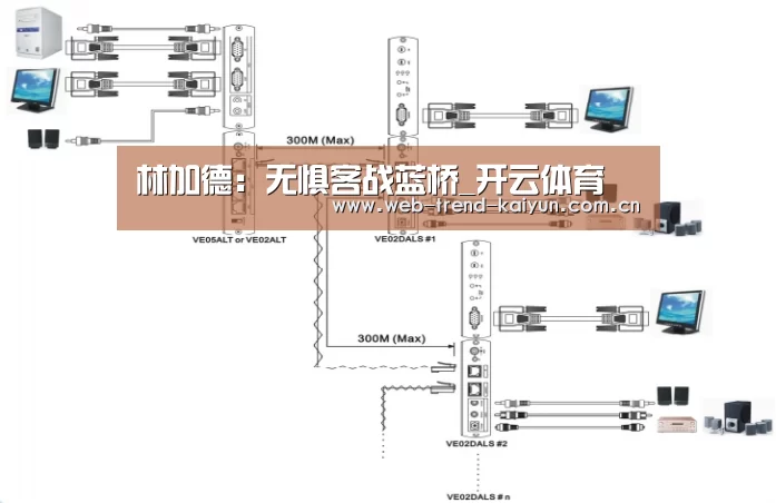 开云体育