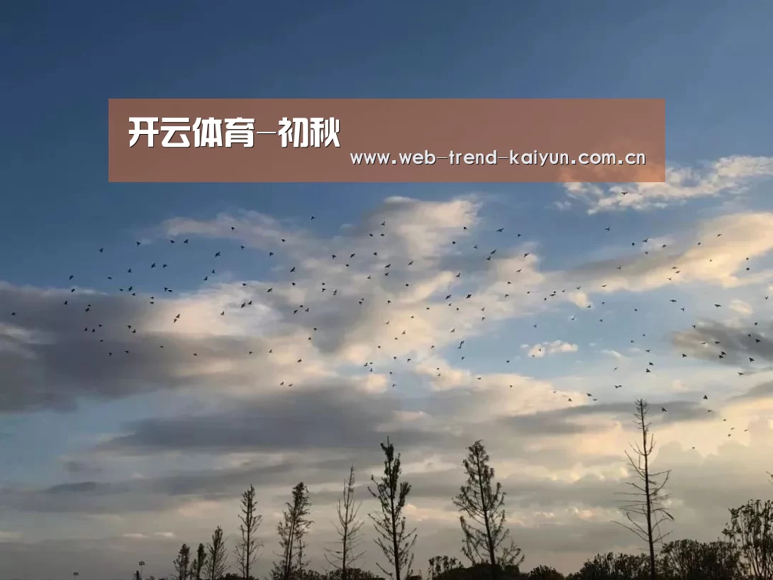 开云体育
